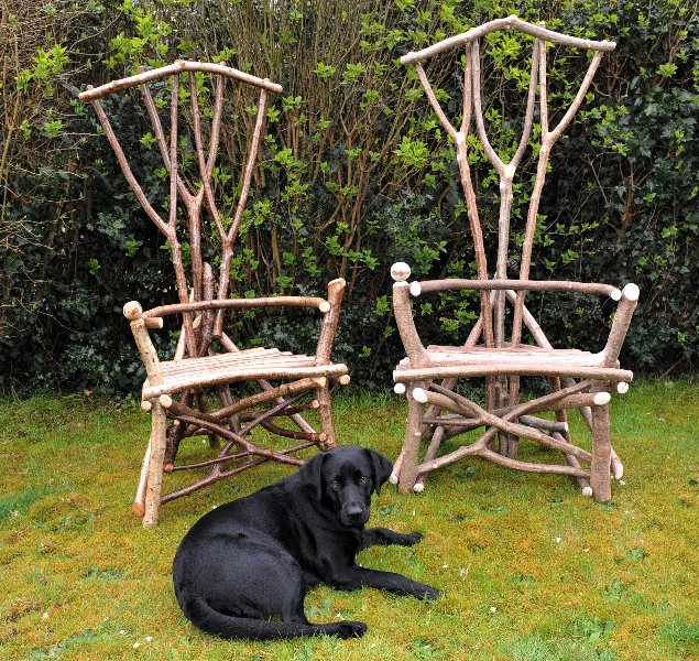 Hazel chairs (and dog!)